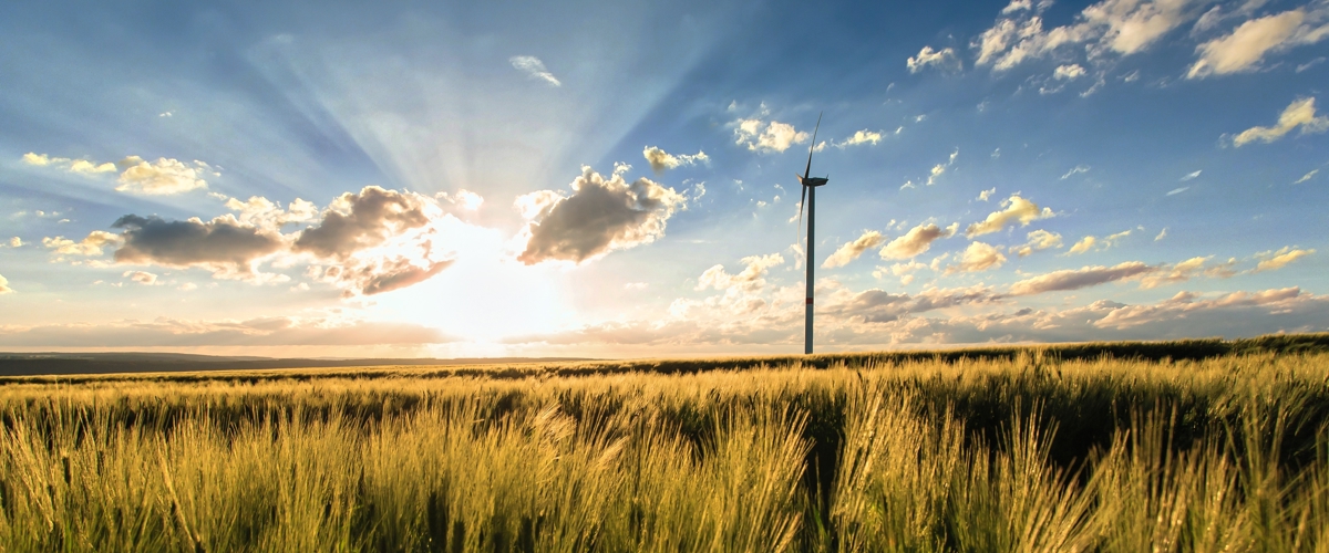 Natuur omgeving wind energie Header - Fleet Facilities